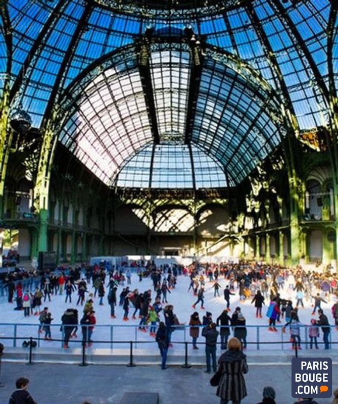 Le Grand Palais des Glaces 2014 Le Grand Palais du 13 décembre 2014