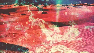 Still Corners + Moodoid
