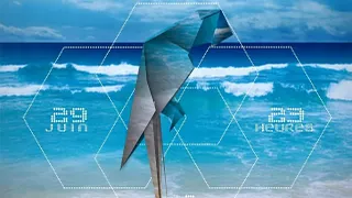 Cocosett Tropical Beats