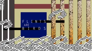 FLINTS ARE BIRDS