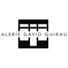 Galerie David Guiraud