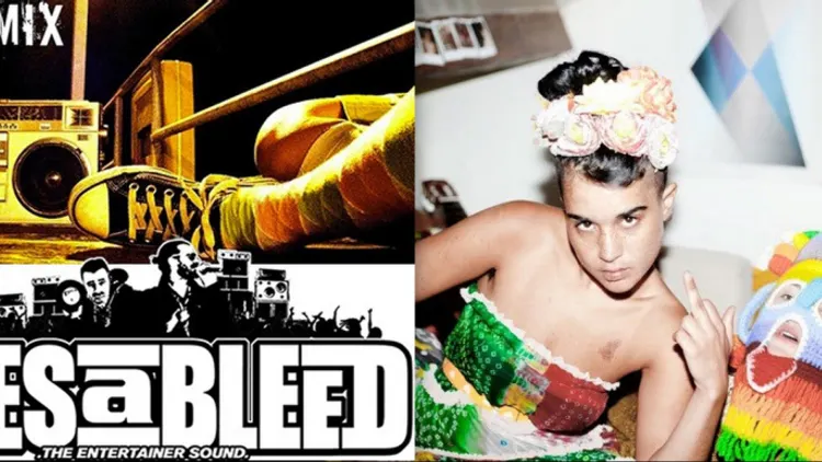 FAR 2013 - Wild Mix, Eyes a Bleed, Dj Femelle