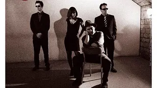 DAVID ROSANE & THE ZOOKEEPERS en concert