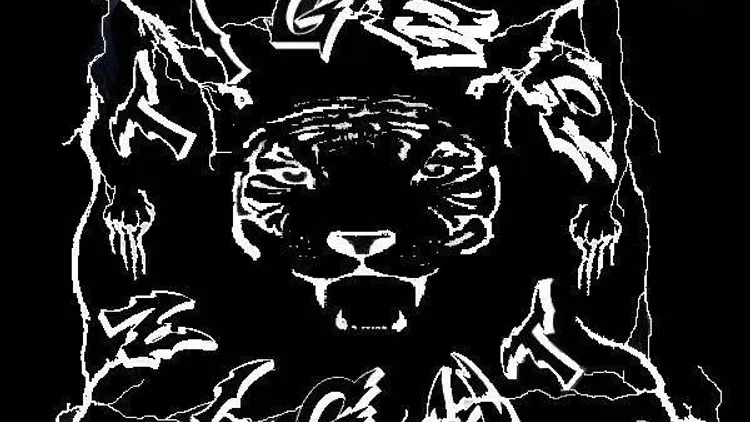 SOIREE TIGER NIGHT