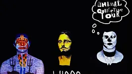 Animal Collective + gfoty
