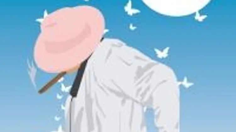 Butterfly