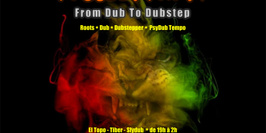 From Dub to Dubstep - Project Party