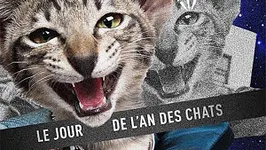 Fantasc - Le jour de l'an des chats