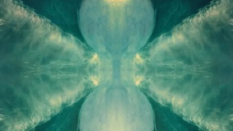 Bonobo