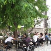 Café A - Maison de l'architecture
