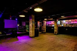 Punk Paradise