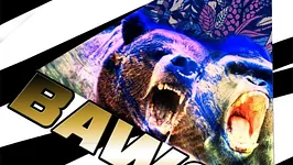 BAWSS - the maiden voyage