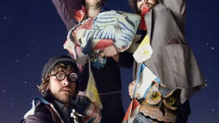 Yeti Lane + Woodpigeon + Plants & Animals