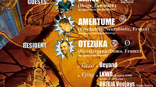 PROGMATIC IX