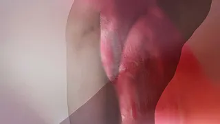 TRANS LUCID // Iris GARAGNOUX & Maria ESTABANELL