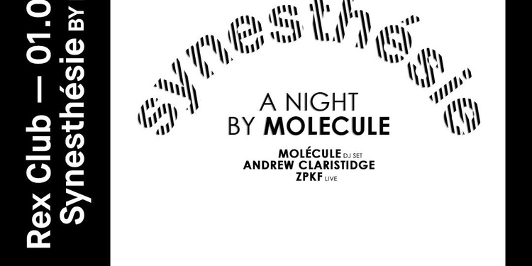 Synesthesie: A Night by Molecule with Andrew Claristidge & ZPKF