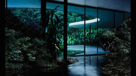 Exposition Caio Reisewitz - Disorder