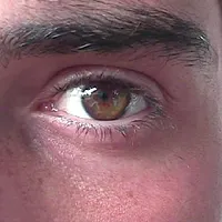 Nicolas P