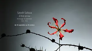 Satoshi Saïkusa - À Perte de Vue VERNISSAGE