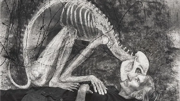 Roger Ballen et Hans Lemmen, Unleashed