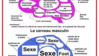 Homme femme mode d'emploi couple