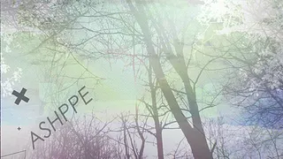 BeFor #3