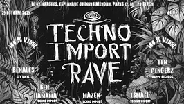 TECHNO IMPORT RAVE 100 % VINYL