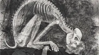 Roger Ballen et Hans Lemmen, Unleashed