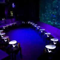 L'Aquarium Club
