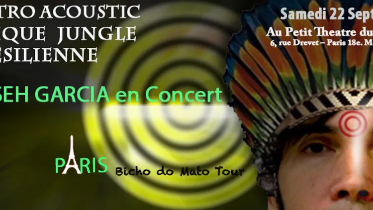 Electro Acoustic Musique Jungle Brésilienne