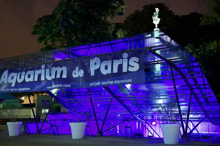 L'Aquarium Club