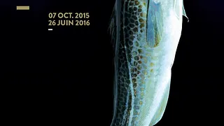 Exposition Dans les mailles du filet