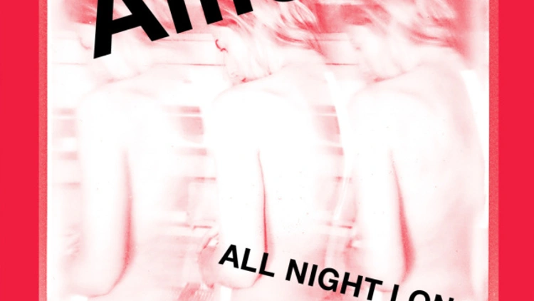 Ellen Allien All Night Long