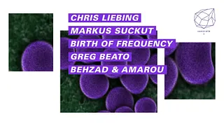 Concrete: Chris Liebing, Markus Suckut, Birth Of Frequency