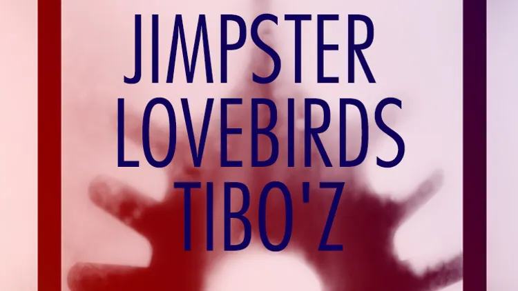 Jimpster, Lovebirds & Tibo'z