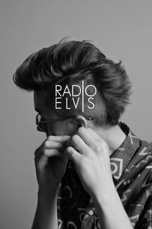 Radio Elvis en concert