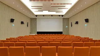 La Fête du Cinéma : Chronique d'un été au Musée de l'Homme
