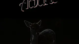 Awake