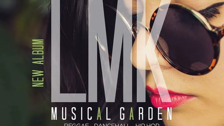 Lmk, Dubmatix & Yarah bravo en concert