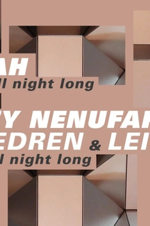 Concrete: Rebekah All night Long / Monkey Nenufar all night long