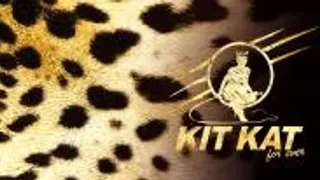 Kit-kat