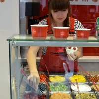 Yogurt Factory