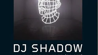 Dj Shadow & Guests