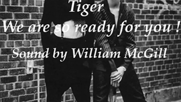 Tiger We Are So Ready
