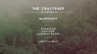 The Craftshop Chapitre 2 : Rainforest