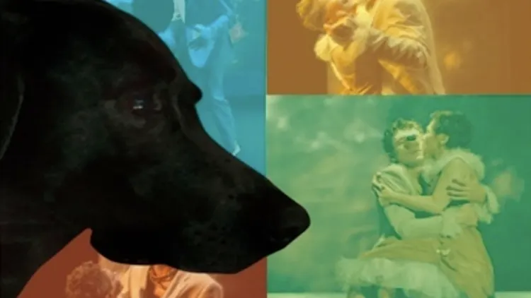 La Ballade de Mrs Blondie et de son chien Billy dans New York la nuit