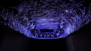 Julien Salaud - Grotte Stellaire