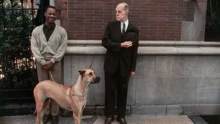 Joel Meyerowitz
