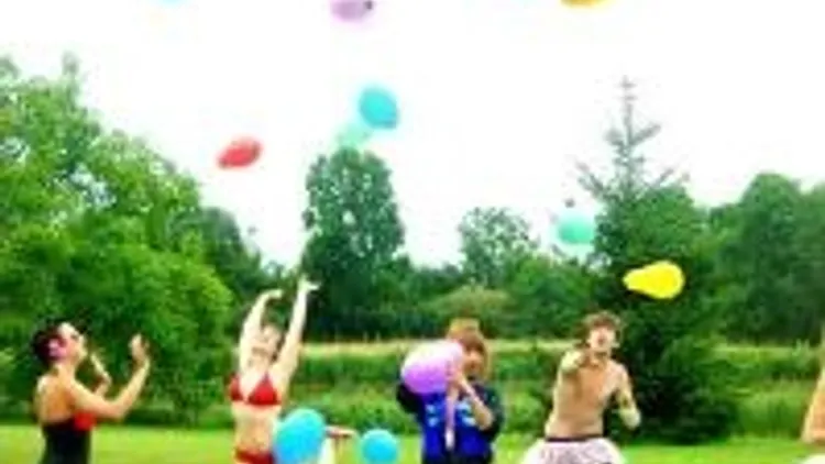 The Party