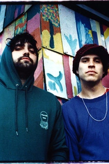 Animal Collective en concert
